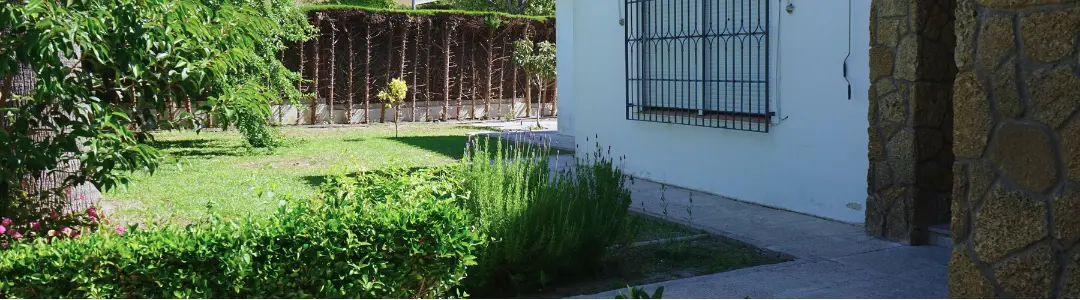 Ver vídeo del centro