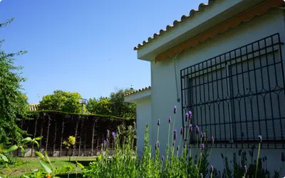 Zonas verdes